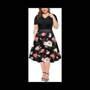 Lace Embroidery Plus Size Flared A-line Dress